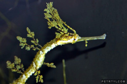 98c7b54d-bad6-44f7-98e7-36544a2a03f0