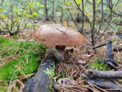 54648fcb-8512-4d82-acdb-1afcbcaf3ff2