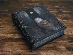 dfda2312-5f70-40e2-b773-381f8aa9b9b0