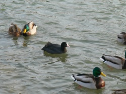 45e98e08-4d13-456e-9ec6-572e3040734c