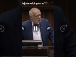 Krowin-Wpytkę twierdzi, że Dirlewanger i Bandera nic nie wiedzieli o mordach na Polakach #parodia