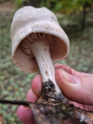 d16e153d-3724-4c5a-b939-e887319a26ea