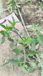 b1411344-b482-4e2e-9e38-9a9b57e7b9df