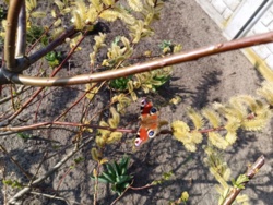 f6db2e92-351f-45bd-9cd1-0874c7ef687a