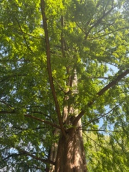 96e51a8a-db10-4e01-82af-9e3fd8396690