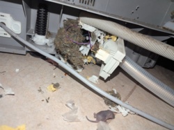 9e644eca-6a60-41c1-ad63-405d54f17a2f