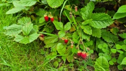 d8cebbd9-3ecf-4e06-b5eb-ae57c0ab7e32