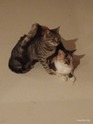 c44f1b45-4c07-42a1-b21f-b4d1811090b3