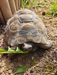 bcb7812e-83f4-4896-8596-f6210e260595