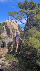 f113e246-e611-4e3a-8b4e-3744781d4583