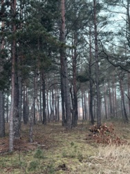 8013596a-274a-42e8-9587-b8699140e5af