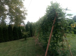 0f468bf1-6929-489f-a6bb-74b94dcc92f2