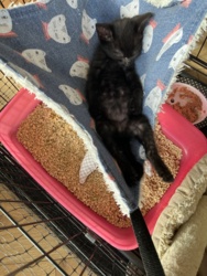 eac75c88-be7d-4623-8d5f-e35a6660e5cc