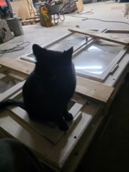 d34a383b-8584-4c08-be92-9a76ffd76b94