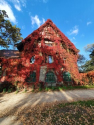 293df64b-2caa-4a8b-8de2-0a3ef9ef1a0f