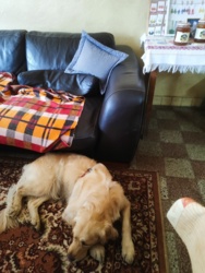 d36b4bdb-ebc9-4d69-b857-55b7080414bf