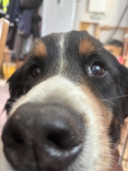 e38a484e-ff9f-4ac3-a9a4-6db160066d2a