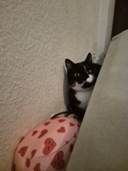 bb22a2d3-b169-49d4-b605-1990591ecc79