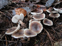 9c1b7bd4-0758-42b0-8f25-416f838841f5