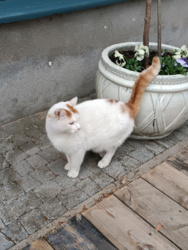 1713f557-96a3-4343-8718-0bcd7c9cb471