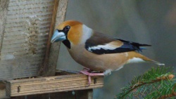 eab7aaf8-8eab-4ccd-93ed-2b482f6ac7c9