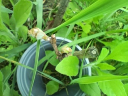 96317a97-1966-454b-be72-666c3dafd7b4