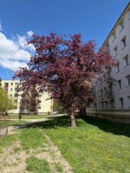 ae08959a-8bc4-460c-90f1-4fffb287bfbd