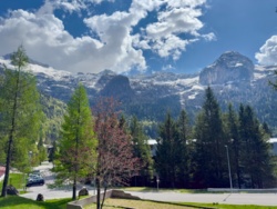 ed11cfdf-e2a7-4e73-8e9d-23bba0e361dc