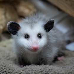 652b772e-59a7-41ba-b1ce-985b75815ce1