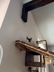 a5d95eb6-0d77-48cb-81ea-dc57270a3cd4