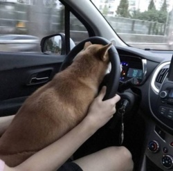 72e4f471-3f55-4d81-8fce-391cbc875c3a