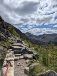 56e41c45-b268-4224-b93e-e6bc2972fc15