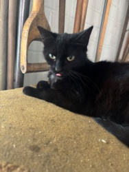 0b361065-c4a7-4775-9a46-d08e1d606105