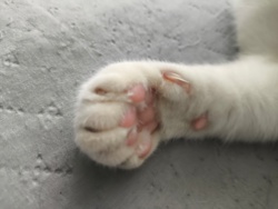 cad97adb-2955-4d35-adaf-e5ff4175c60e