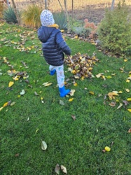 2d542dc5-ef08-4246-a63a-e5330797da2c