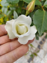 d9746c05-2126-4d9b-abdb-7e797812509a