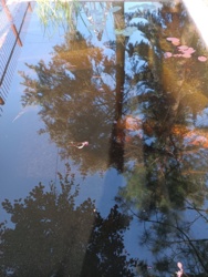 ebe23b03-8525-4fc3-980a-ec533fb26993