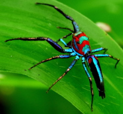 87dcf44a-e951-49fa-a4a7-1eaf715b90b4