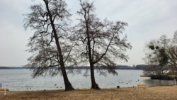 51b14ea7-6eb6-449a-b888-c52fe4a3b049