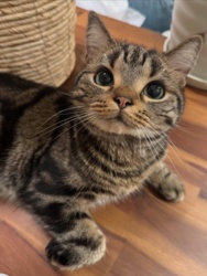 f3371a7c-aa7e-4d10-90ee-f7de0ae4934e