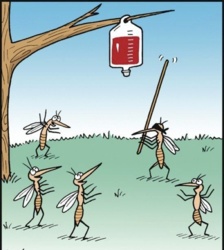 a204314d-46ff-44d2-86be-82691be74b2b