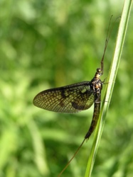 2ee024bc-a26e-4e20-b911-8e541b24e132