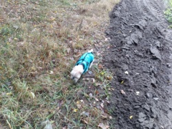 7bfb6e4c-8bac-4328-af47-7a51c410f3fe