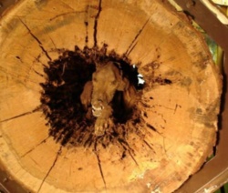 a9fbe604-4df5-47e3-997c-c56a2ff0bbc5