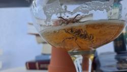 a653293d-e04d-422a-b71f-c117d231b260