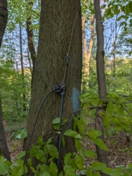 5606c576-9f2d-4a17-8ae4-b88da131a027