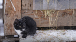 b2ec5ad8-3c27-4e6e-a635-b2eea66d90c0