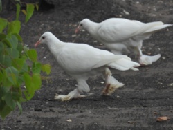 f60820e8-90b9-4764-8842-bf2277d7d607