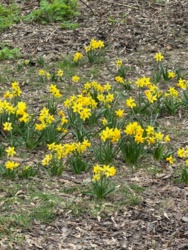 38f13a86-26c5-4257-9cca-11cea3a96e54