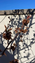 26d3ee34-0c54-4581-b839-2fa3bedc6e15